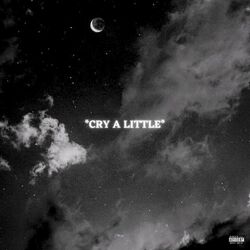 Cover of cry a little