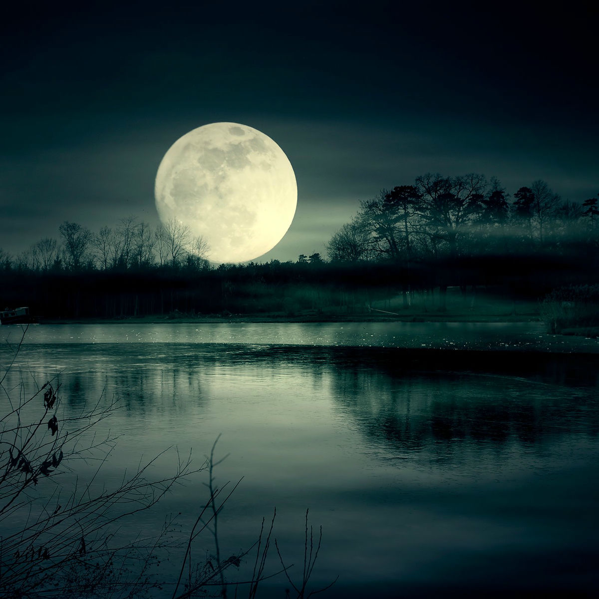 Album cover of Moonlight