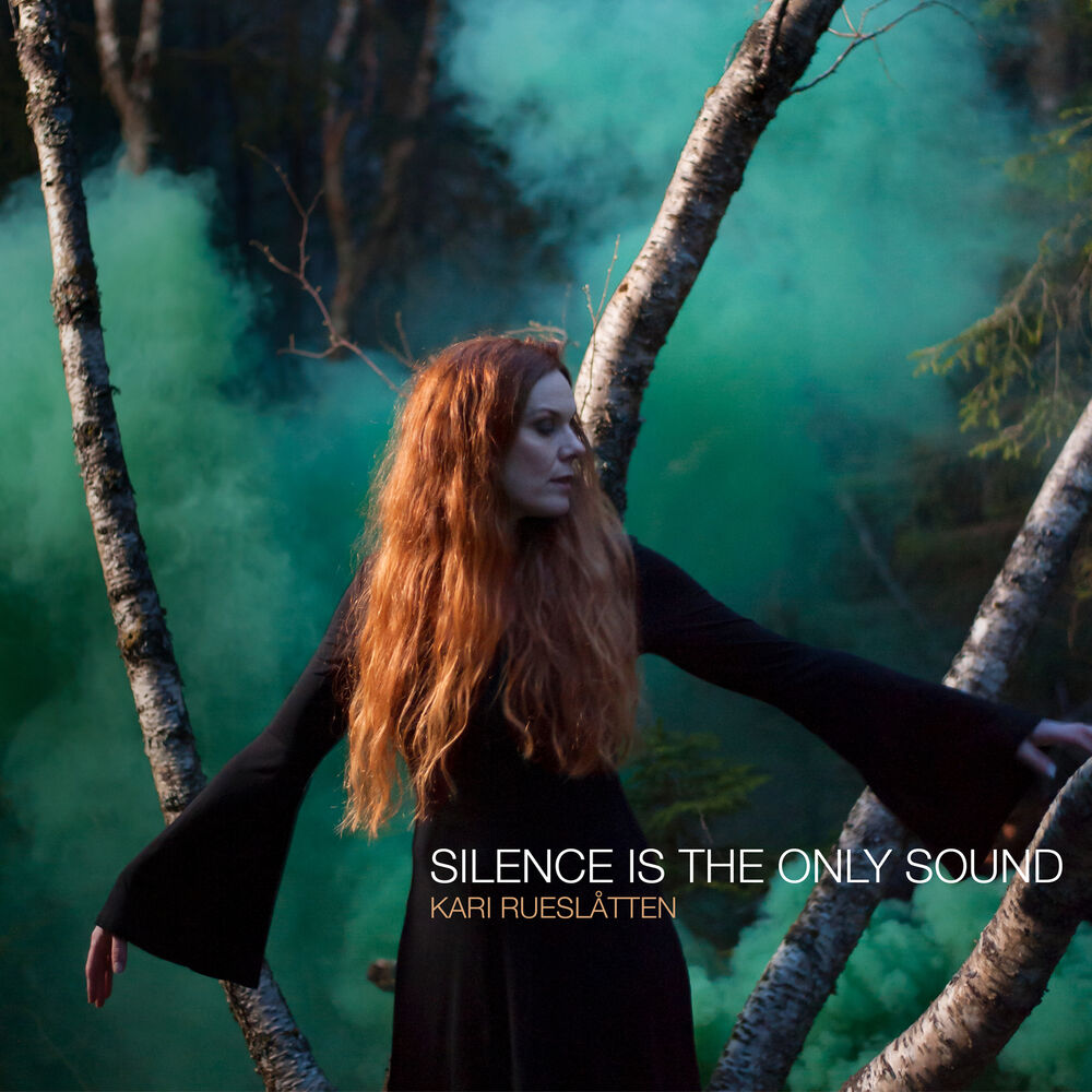 Picture of Silence Is the Only Sound