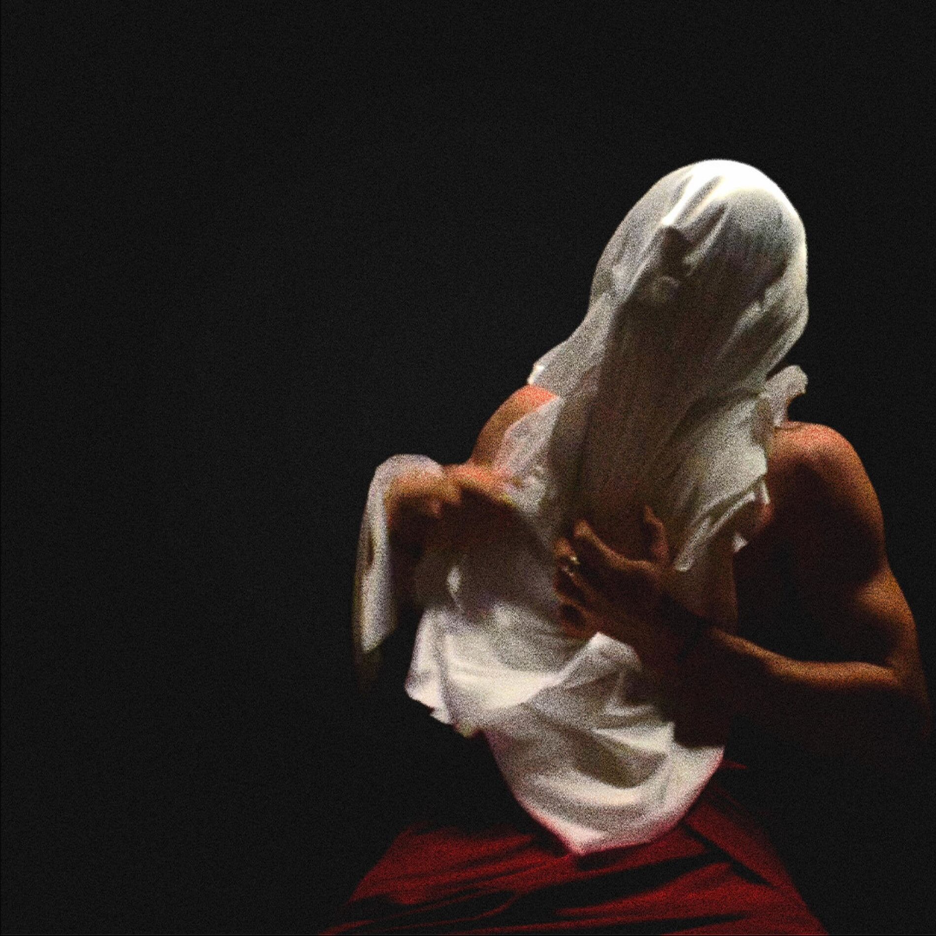 Album cover of LA GRISAILLE