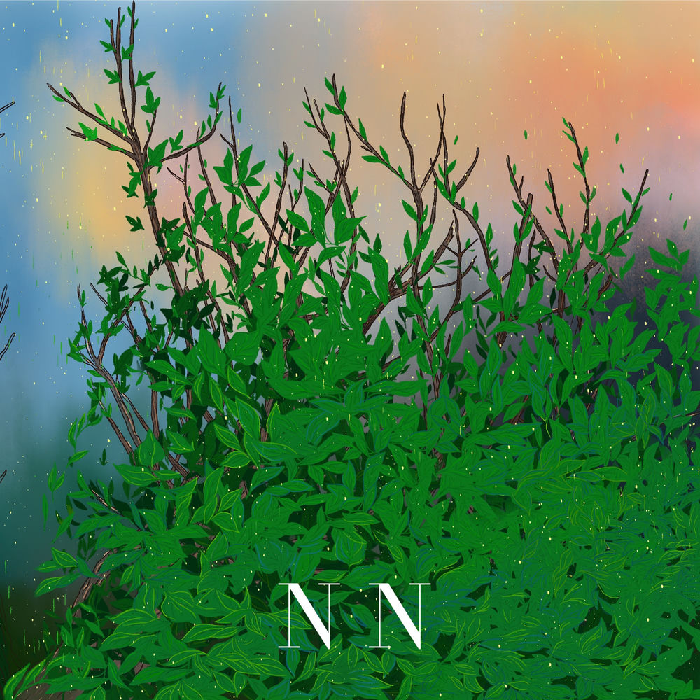 Cover du titre Soirée chez Tan