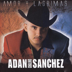 Cover of Amor Y Lágrimas
