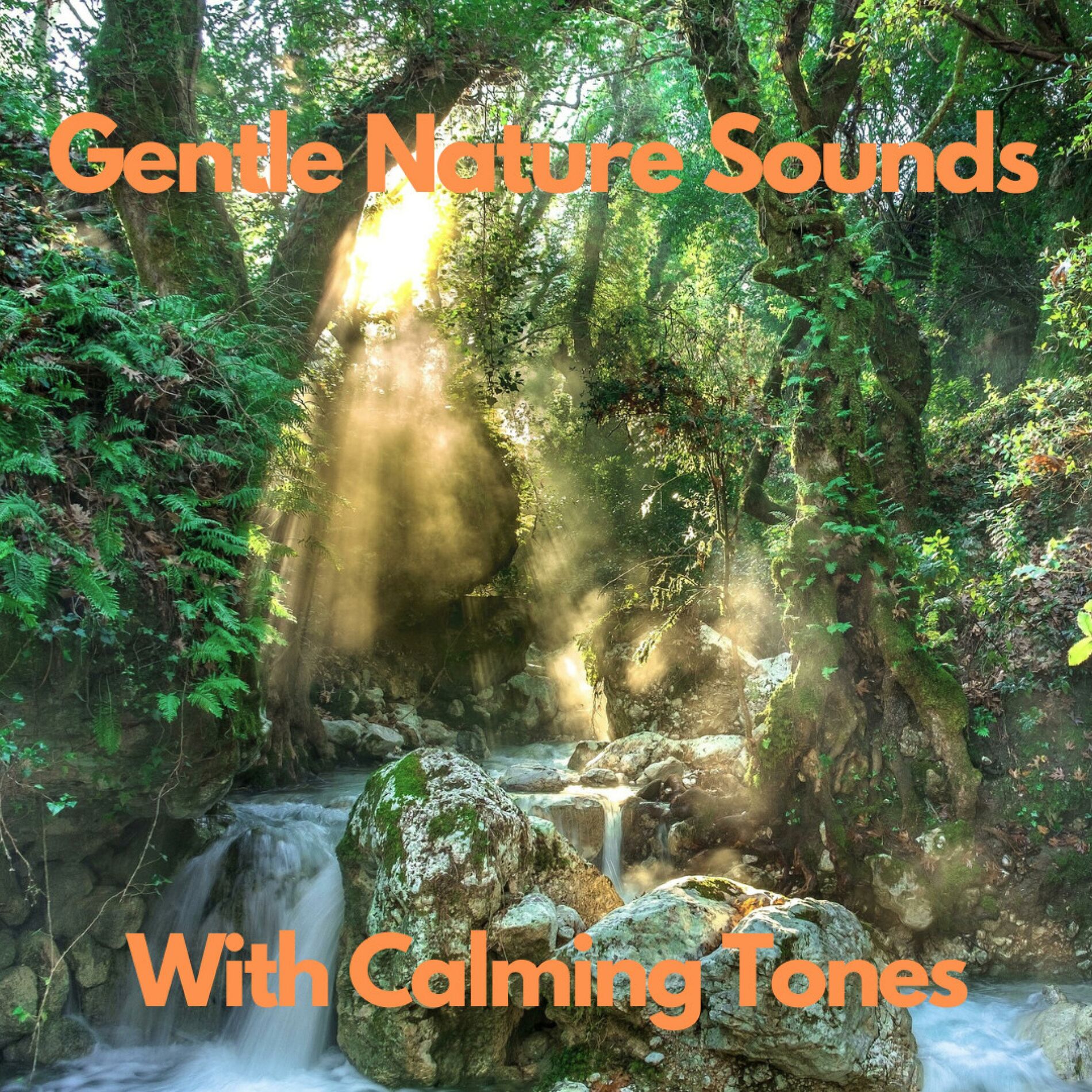 Album cover of Nature Sounds And Calming Tones