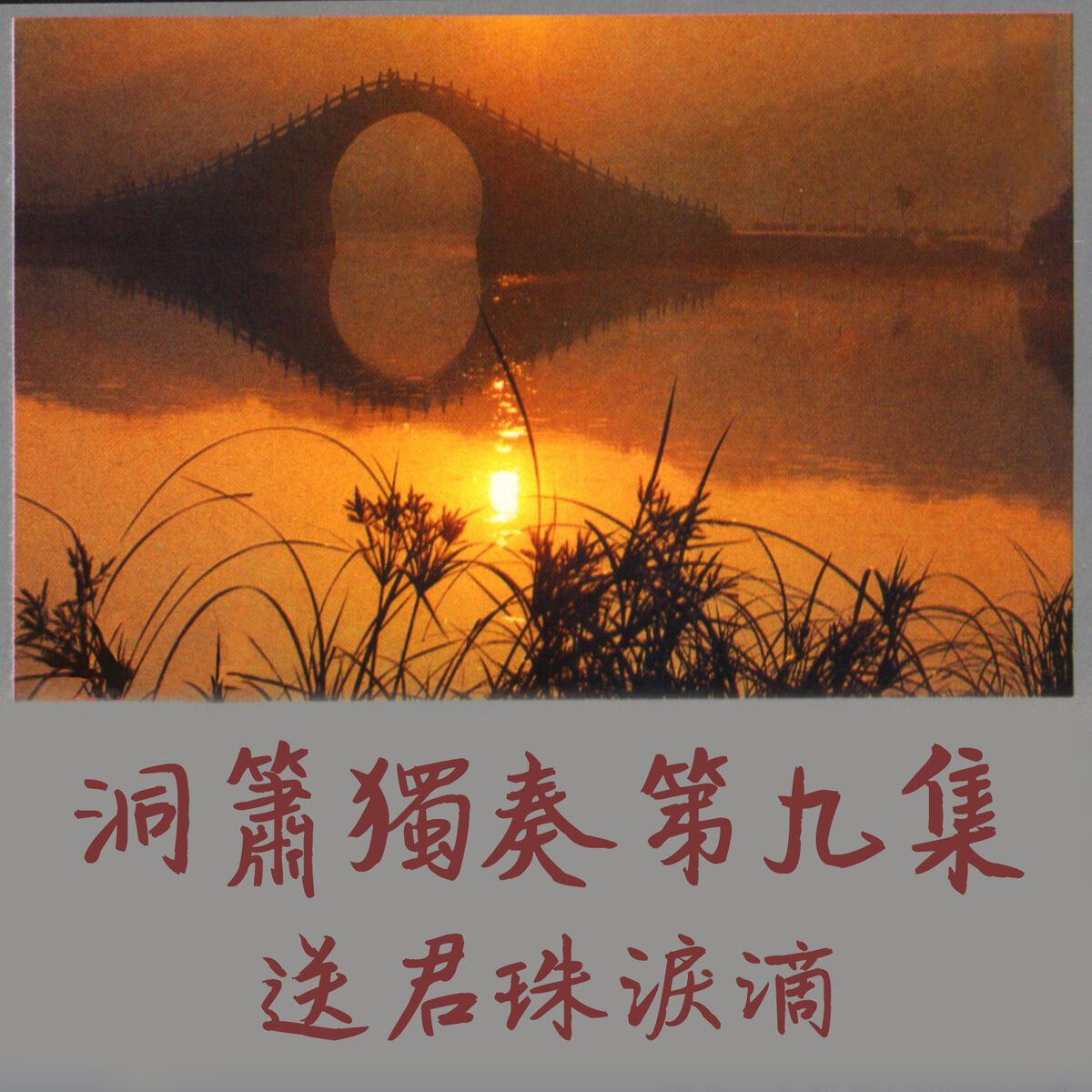Album cover of 洞簫獨奏第九集 (送君珠淚滴)