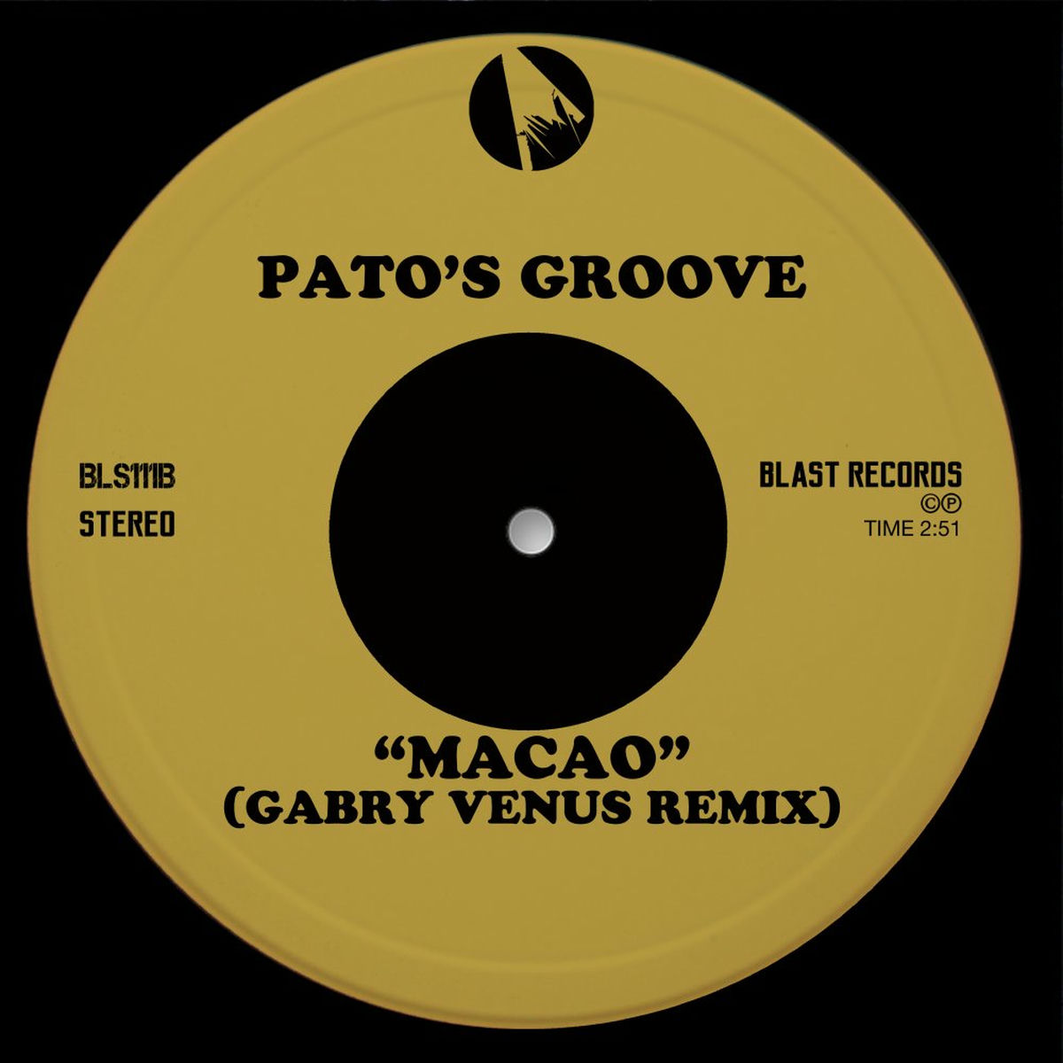 Album cover of Macao (Gabry Venus Remix)