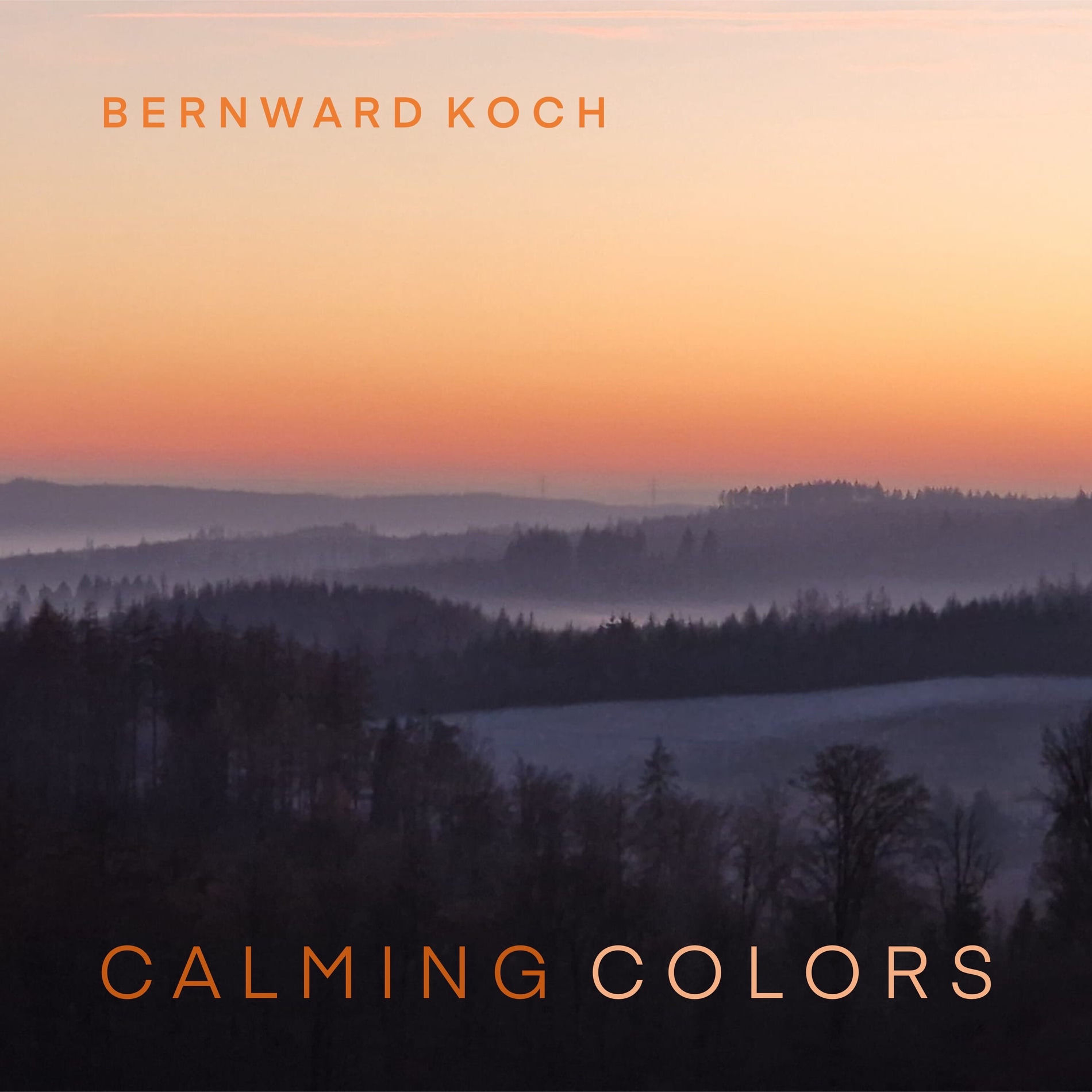 Album cover of Distant Bell