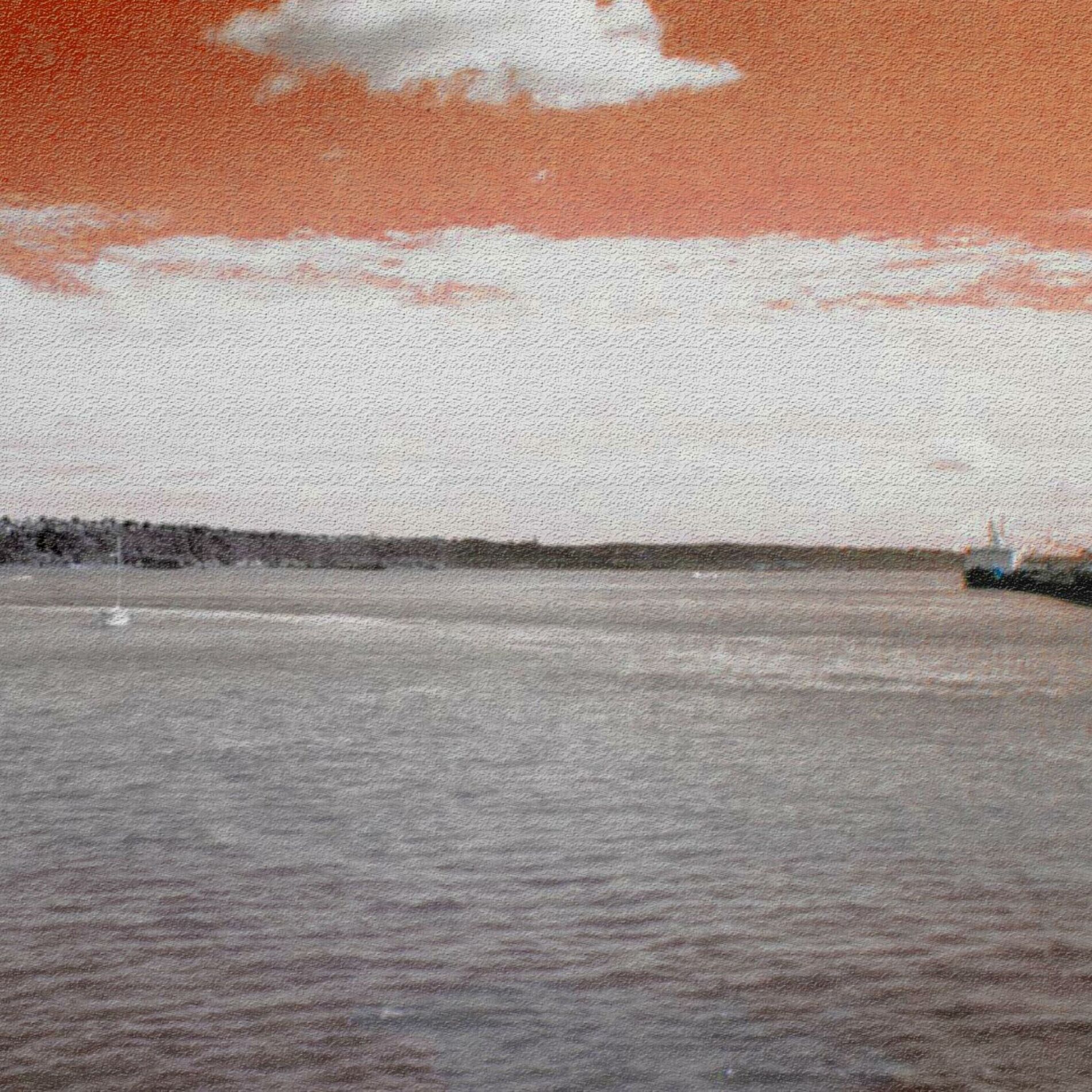 Album cover of La dernière rose blanche