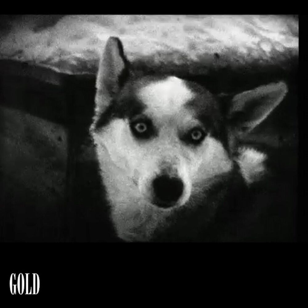 Picture of Gold