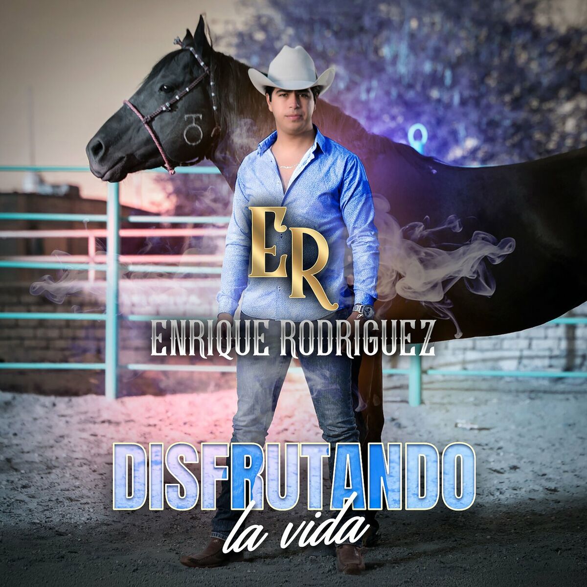 Album cover of Disfrutando La Vida