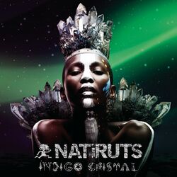Cover of Índigo Cristal