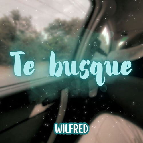 Te Busque