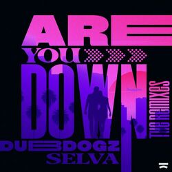 Cover of Are You Down (The Remixes)