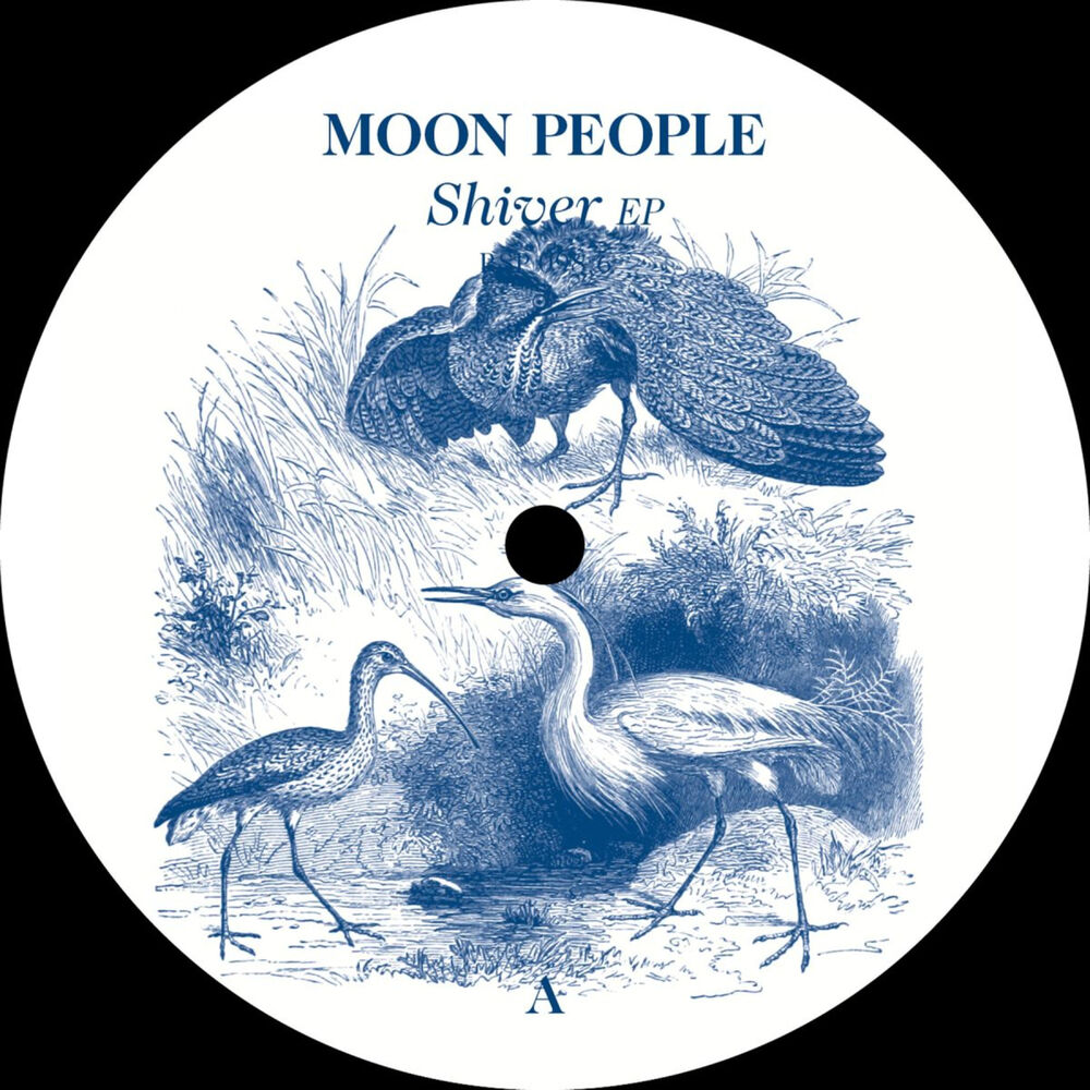 Picture of Shiver