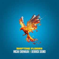 Cover of Shifting Floors