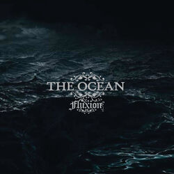 Cover of Fluxion