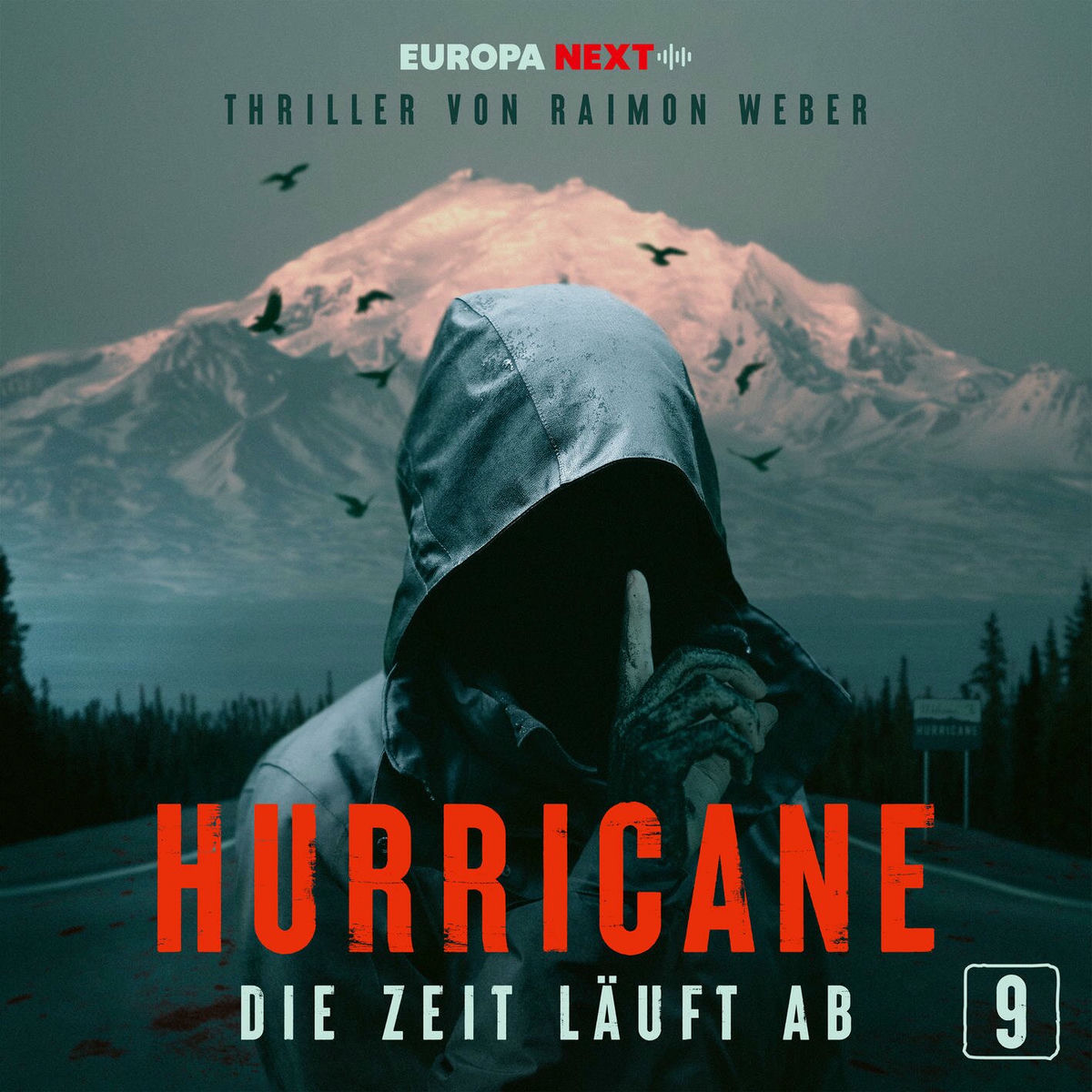 Album cover of Hurricane - Stadt der Lügen / Folge 9: Die Zeit läuft ab