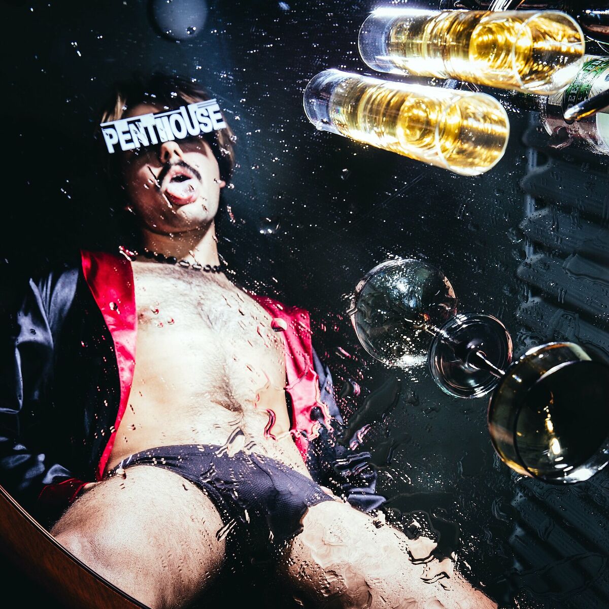 Album cover of THE PENTHOUSE