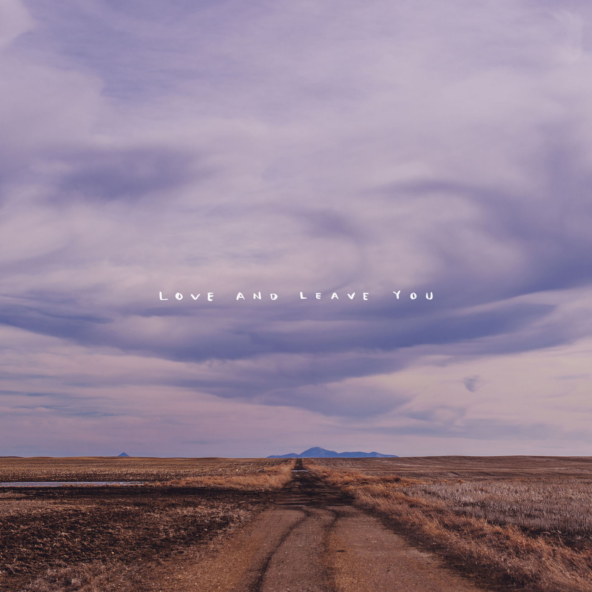 Album cover of Love and Leave You
