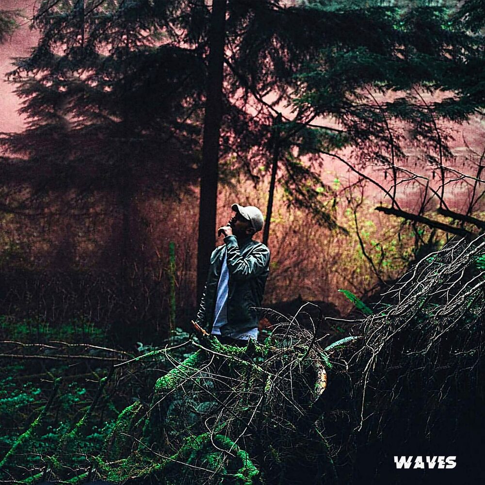 Picture of Waves