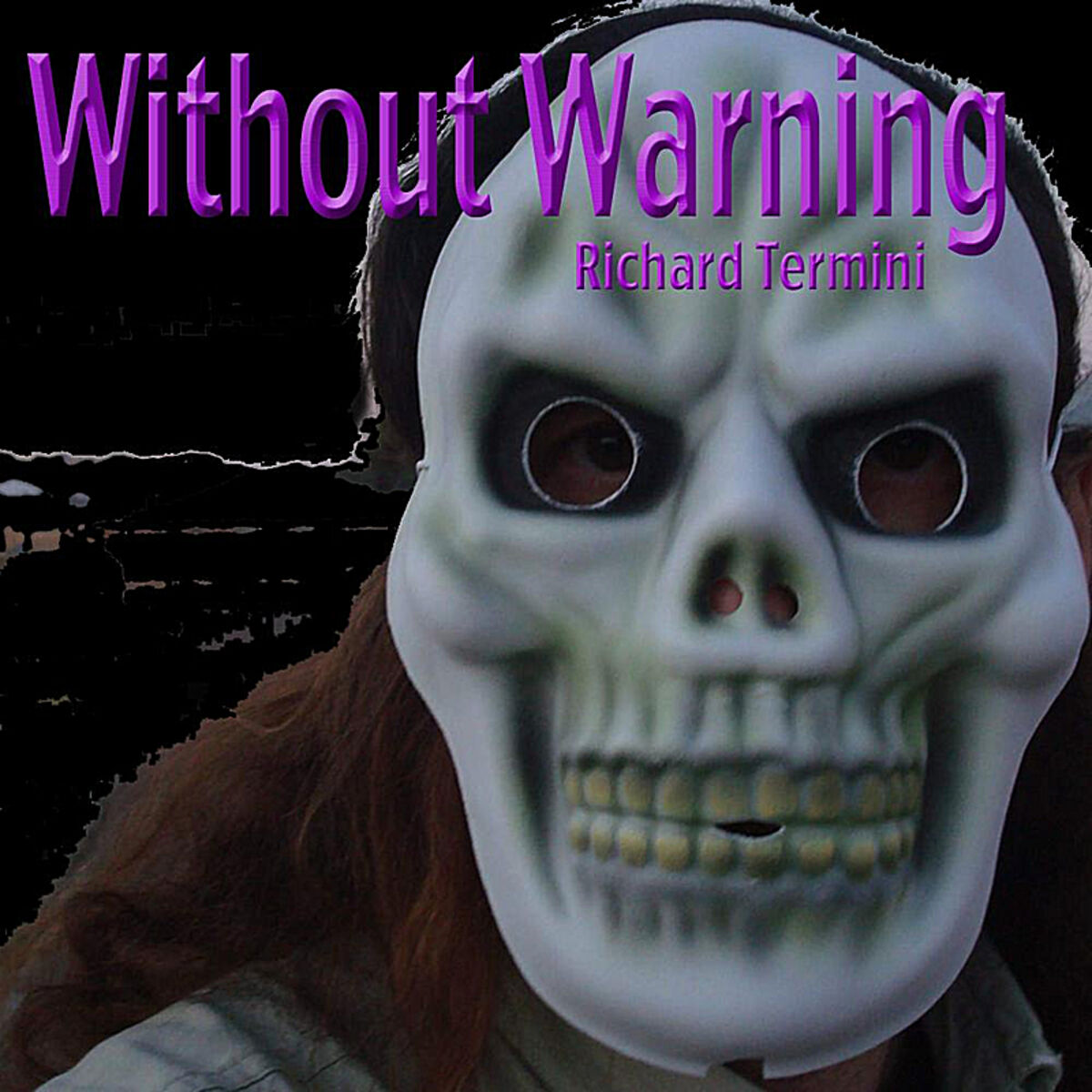 Album cover of Without Warning