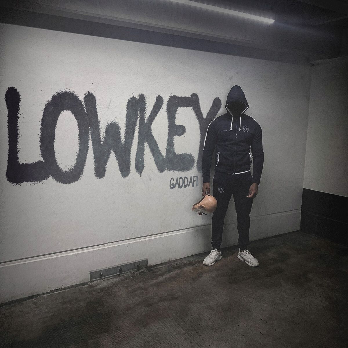 Album cover of Lowkey