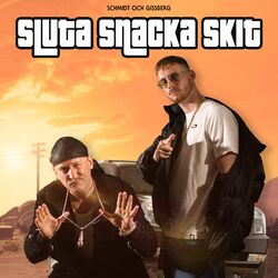 Cover of Sluta snacka skit