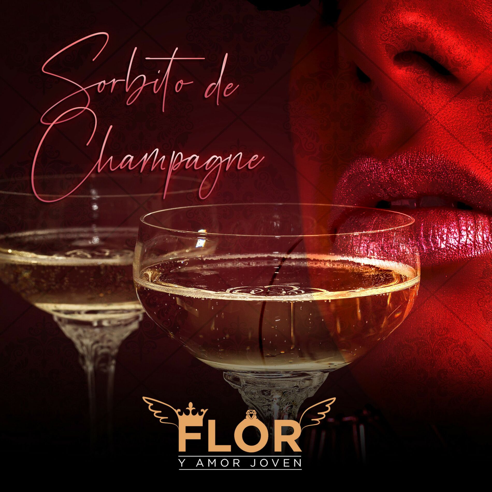 Album cover of Sorbito De Champagne