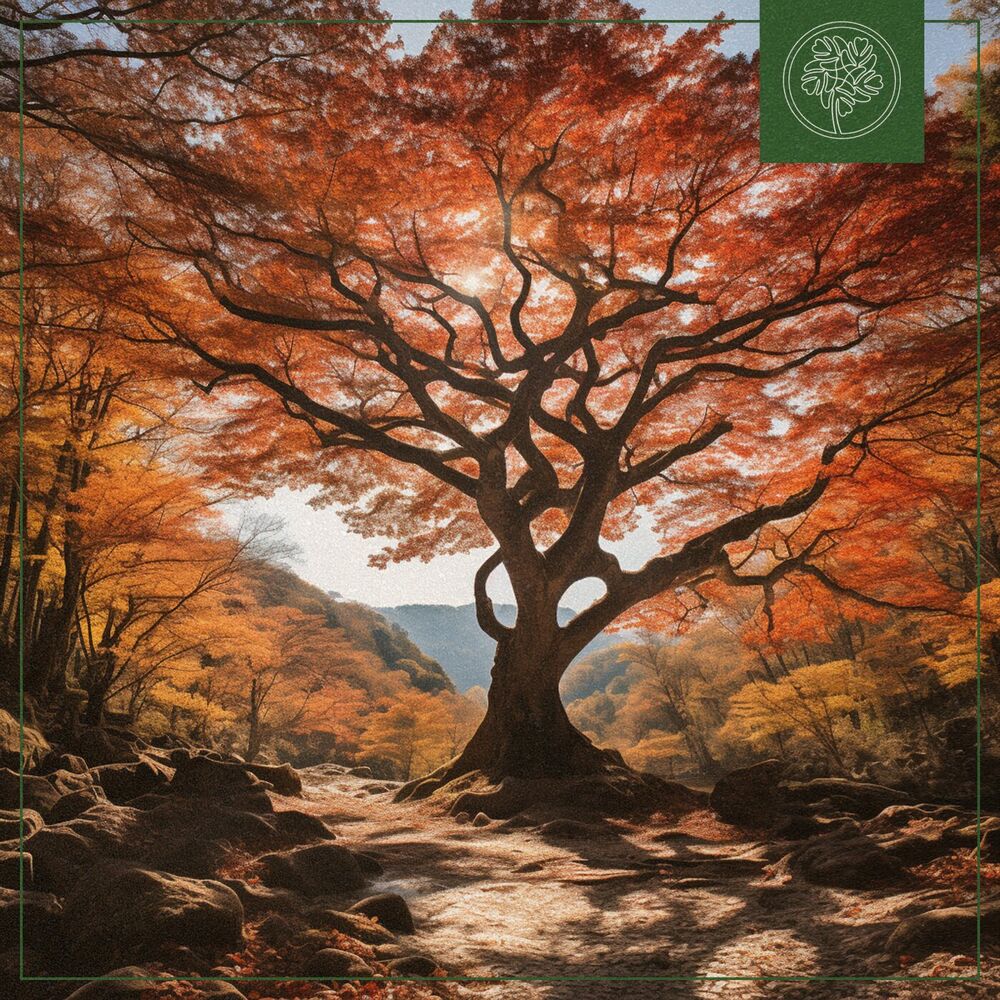 Picture of Autumn Grove