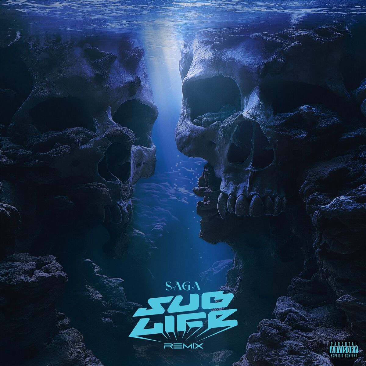 Album cover of Saga
