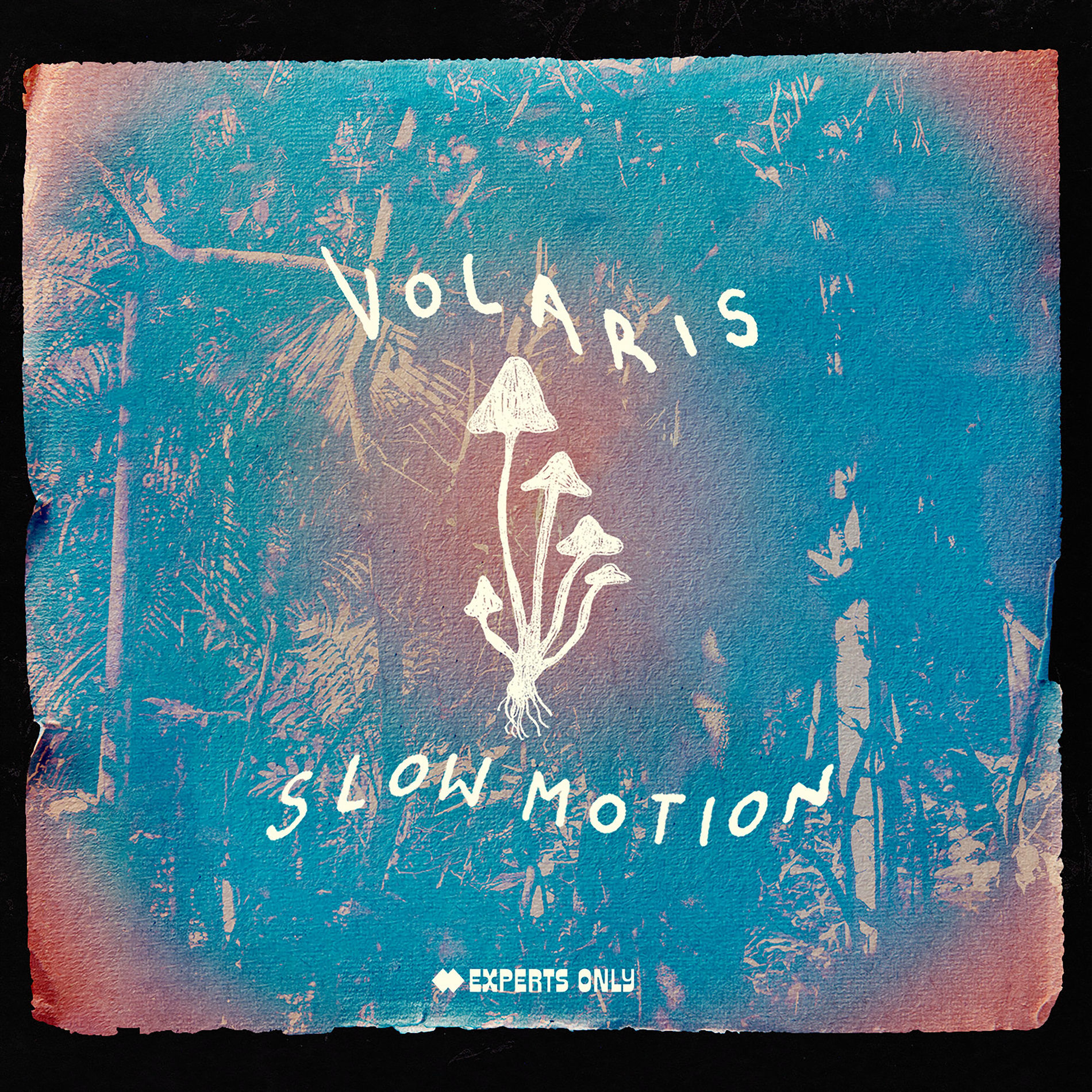 Album cover of Slow Motion