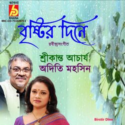 Cover of Birstir Dine