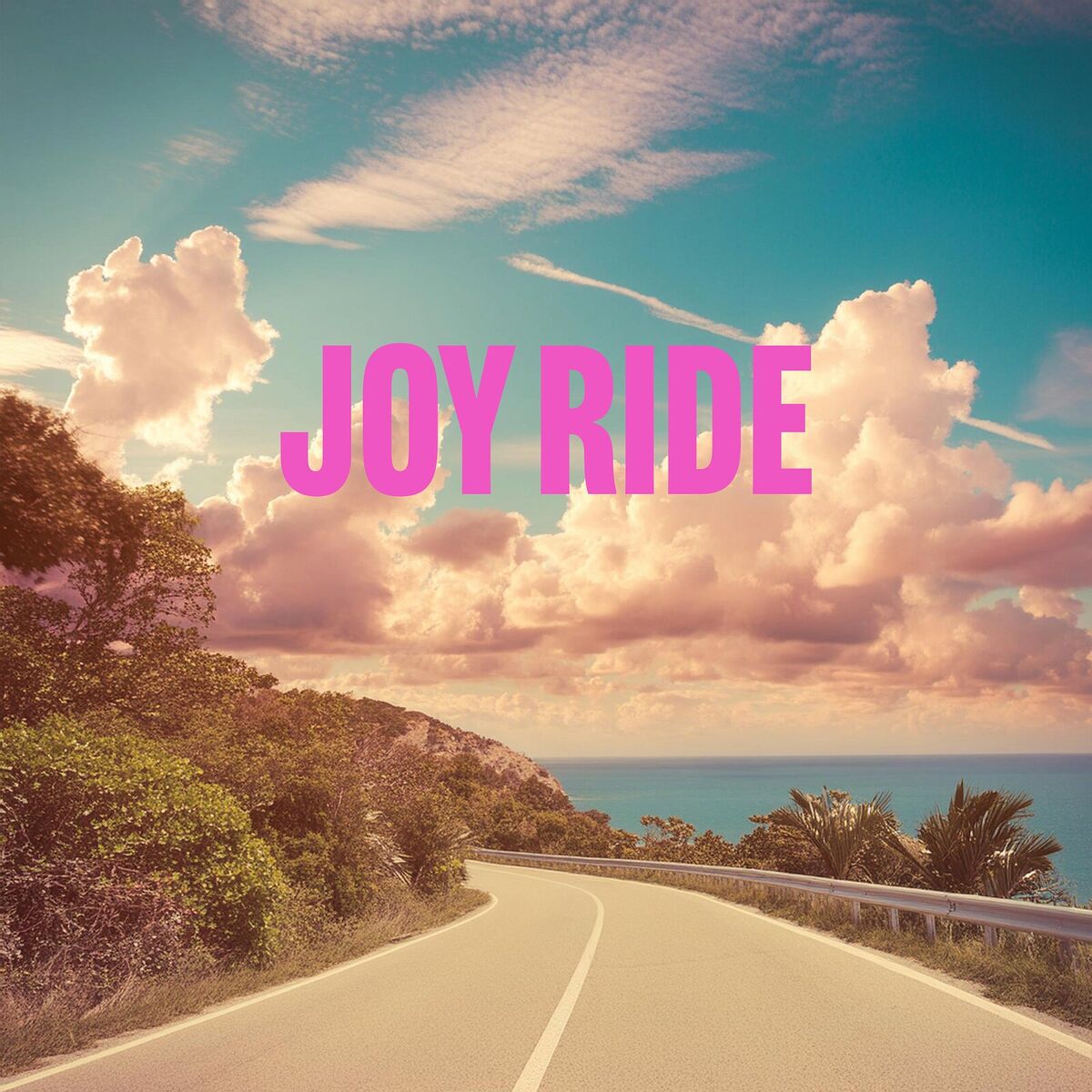 Album cover of Joy Ride
