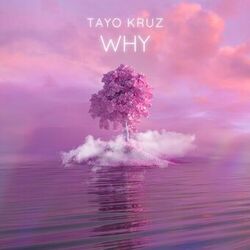 Cover of Why