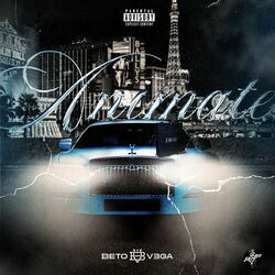 Cover of Animate