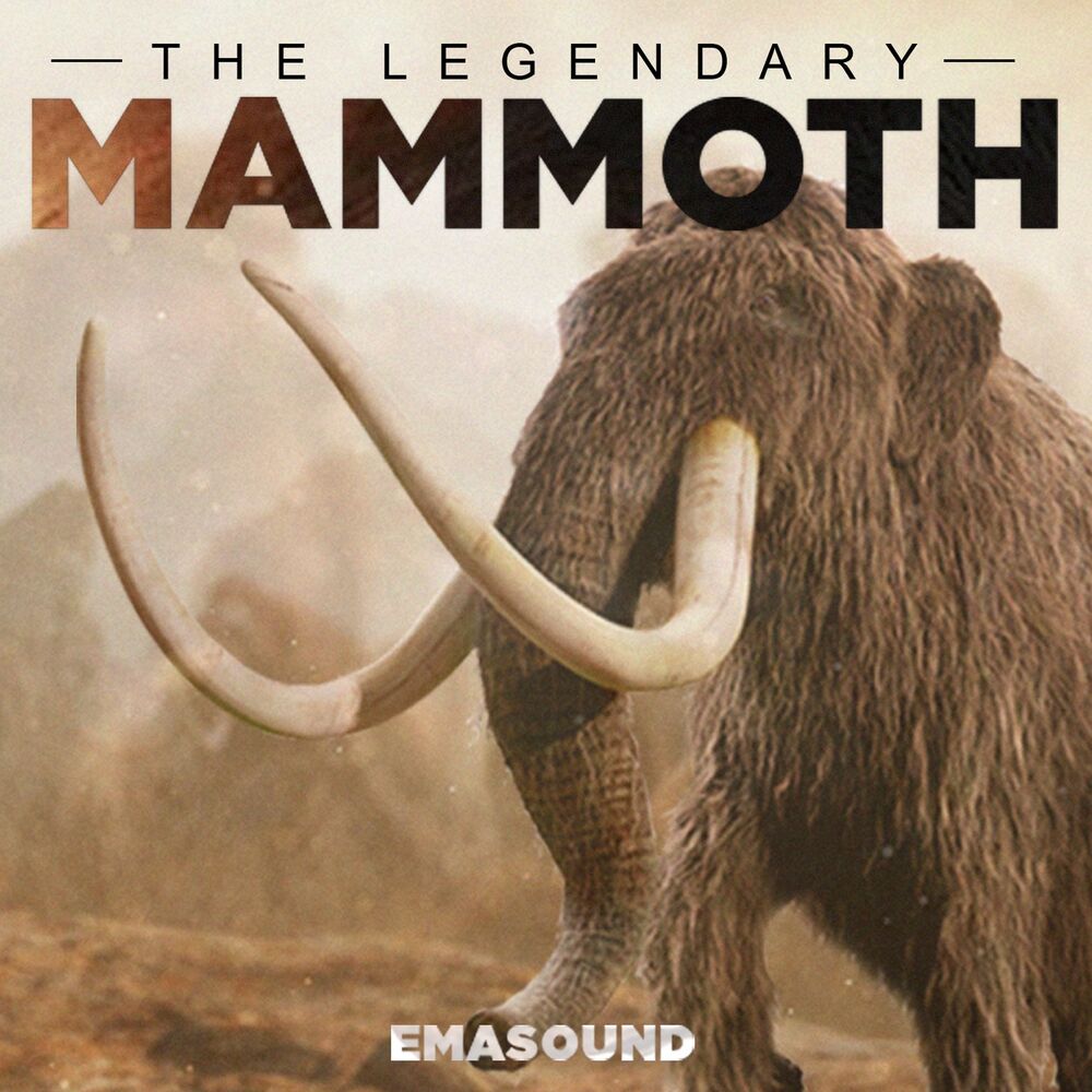 Picture of Mammoth
