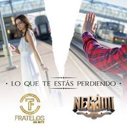 Cover of Lo Que Te Estás Perdiendo