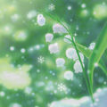 Last Snow