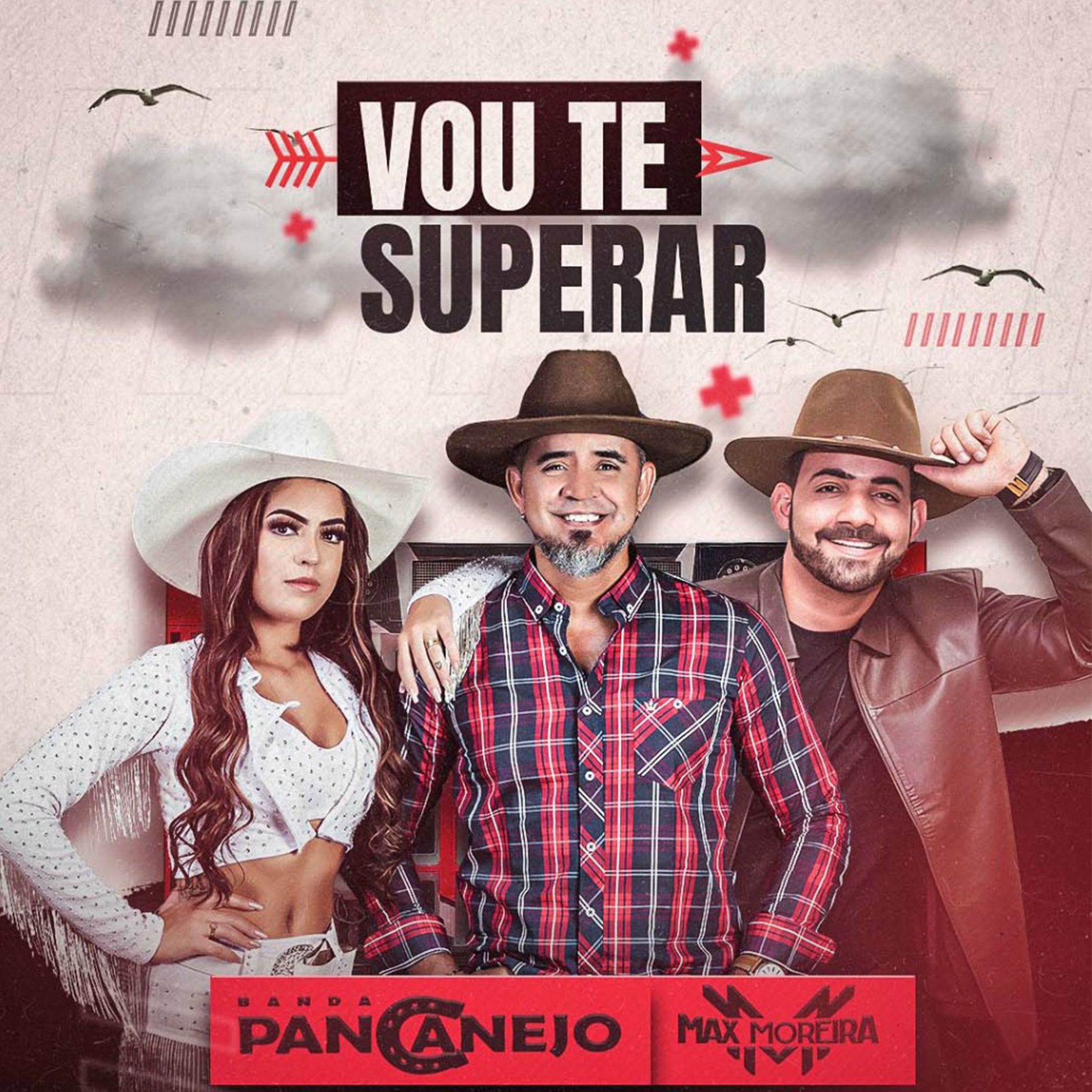 Album cover of Vou Te Superar