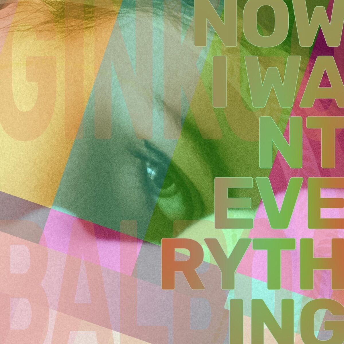 Album cover of Now I Want Everything