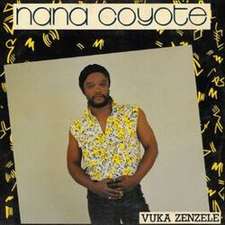 Cover of Vuka Zenzele