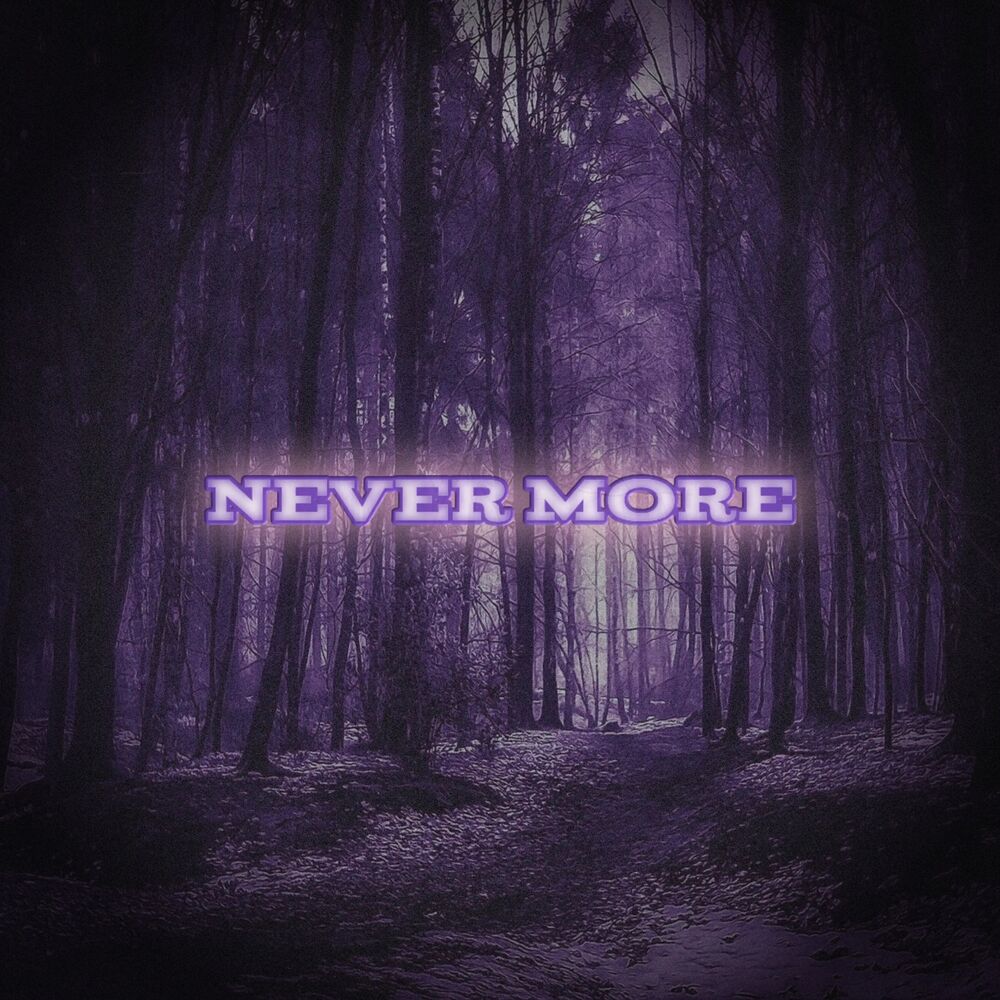 Picture of Never More