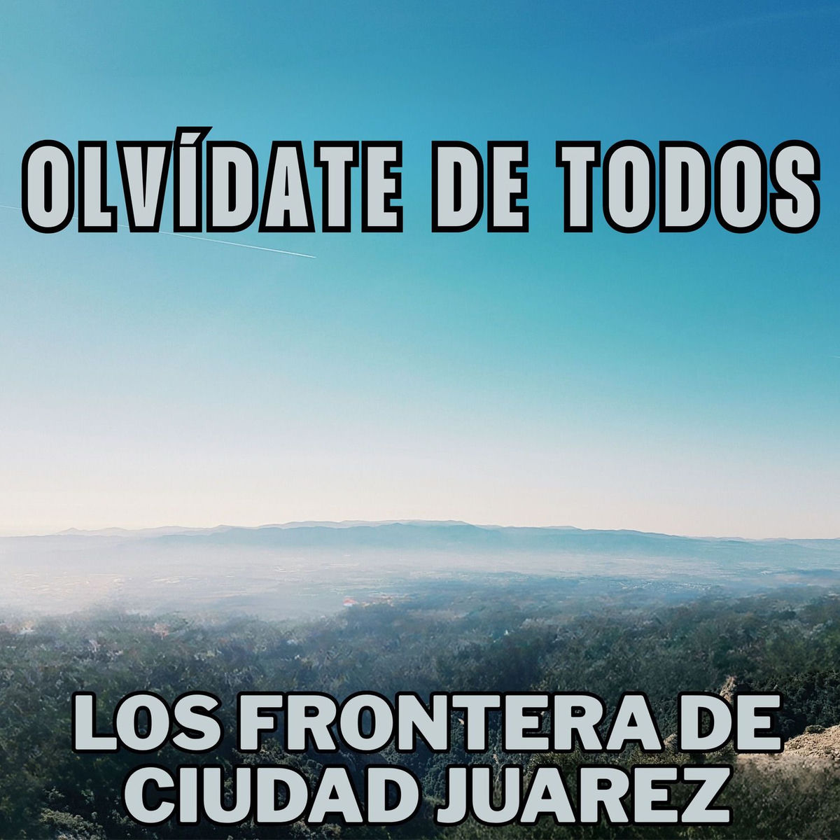Album cover of Olvídate De Todos