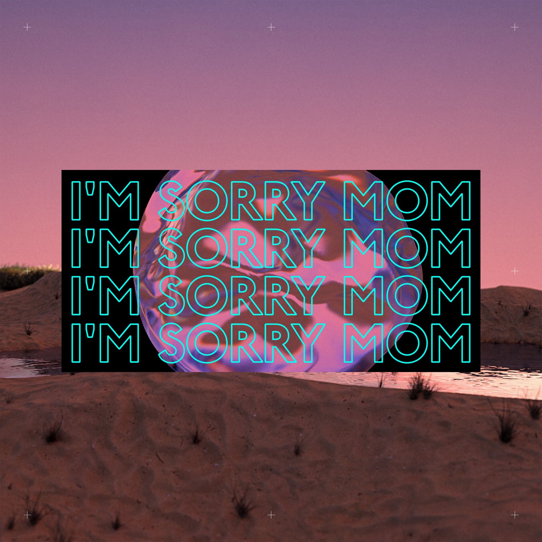 Album cover of I'm Sorry Mom