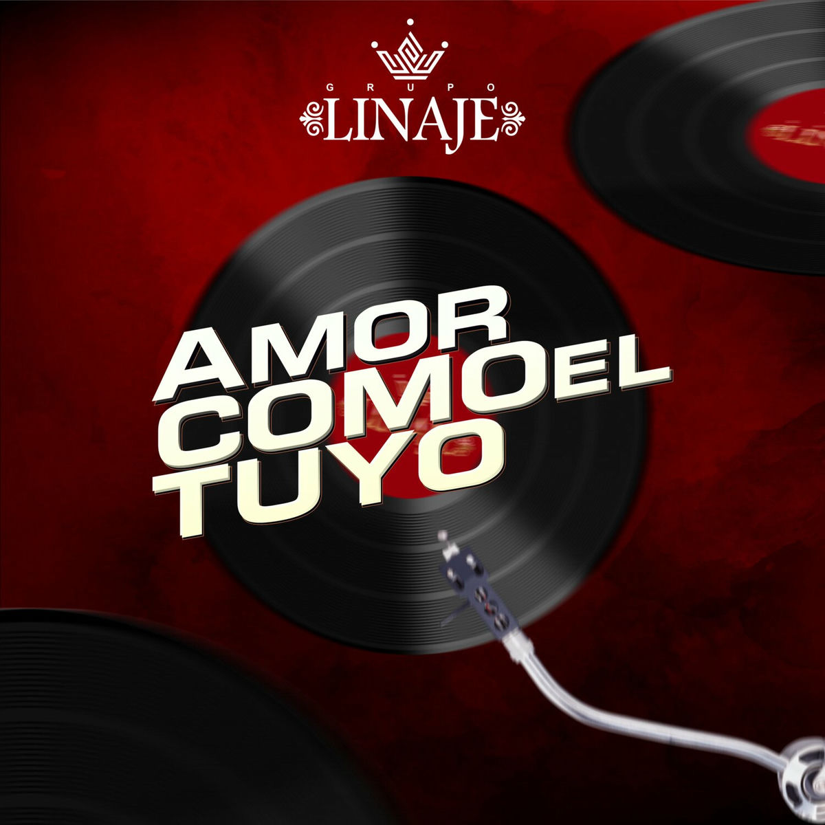 Album cover of Amor Como el Tuyo