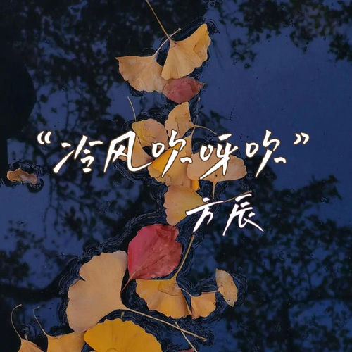 冷风吹呀吹(大合唱)