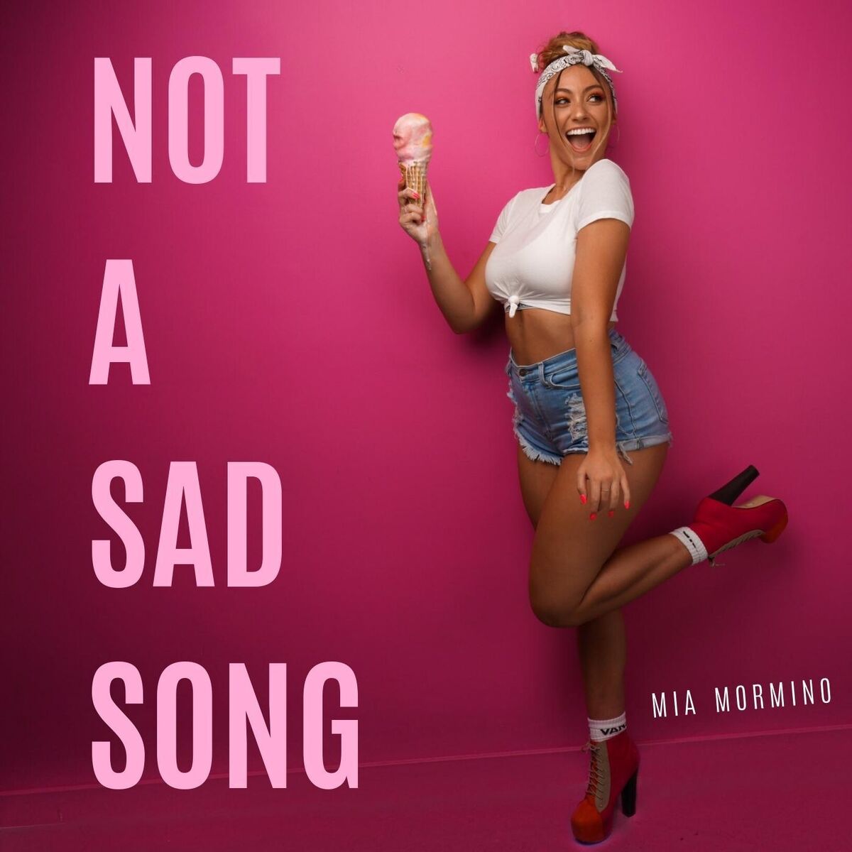 Album cover of Not a Sad Song