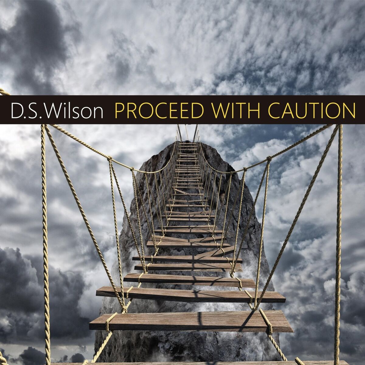 Album cover of Proceed with Caution