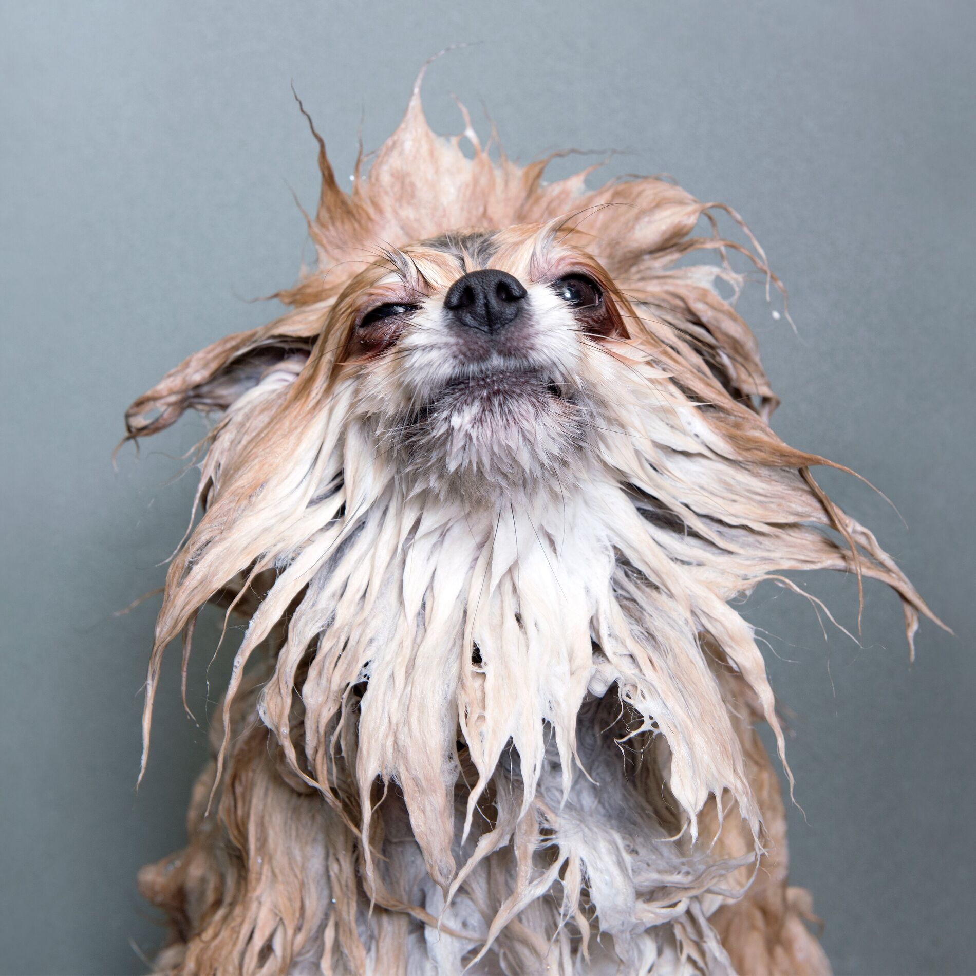 Album cover of SOAKED