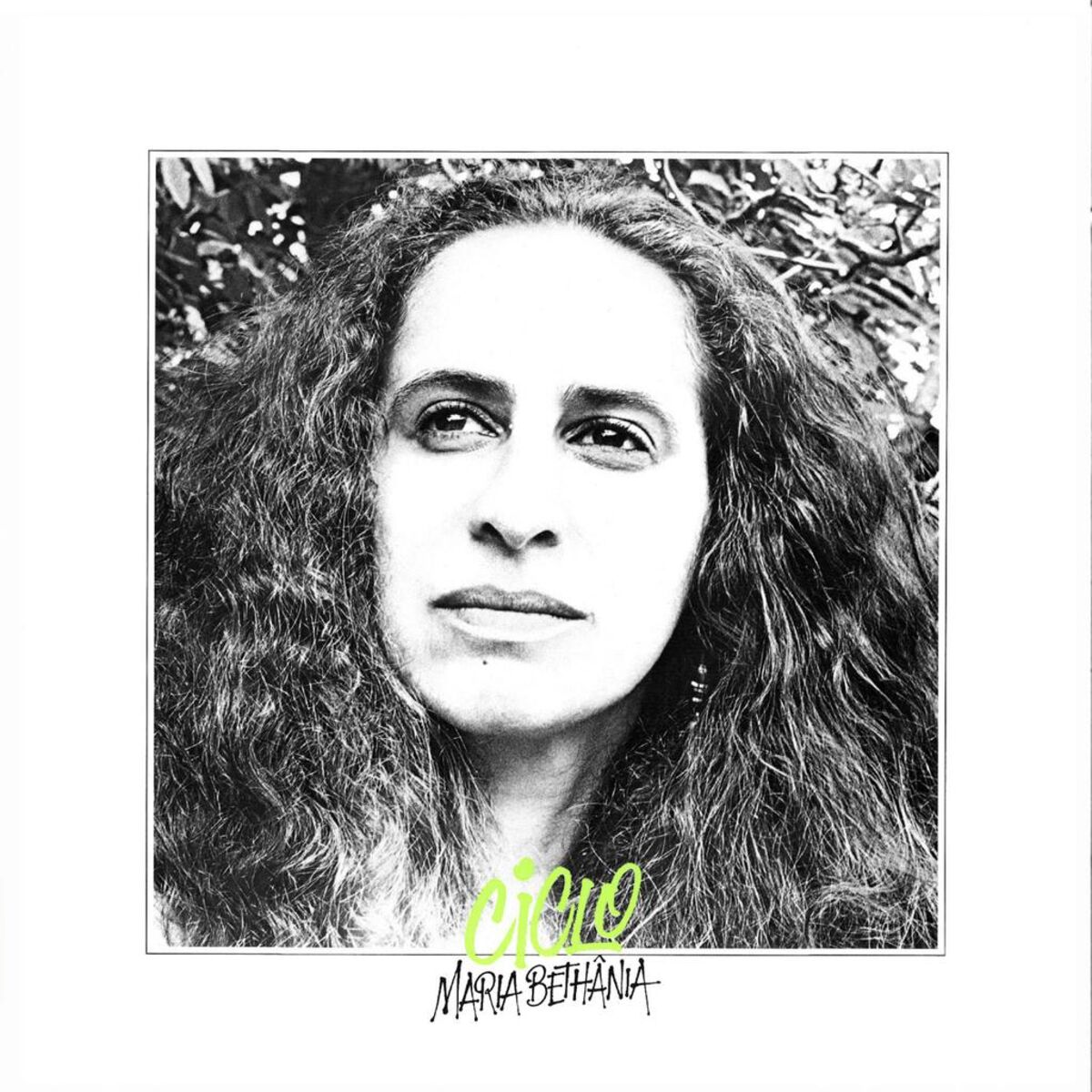 Album cover of 