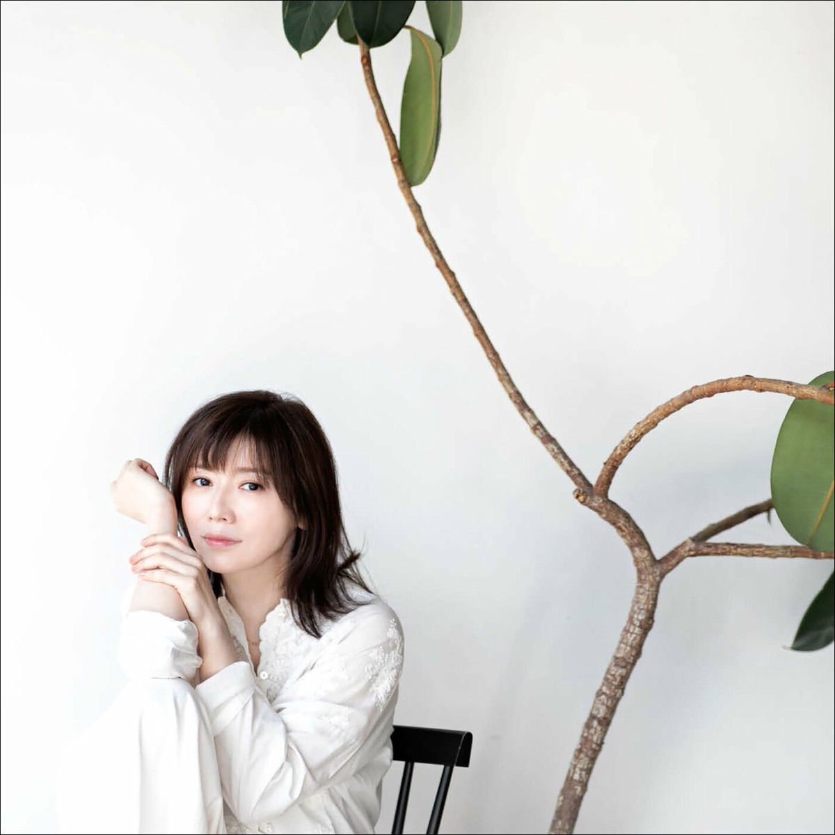 Jun Shibata: albums, songs, concerts | Deezer